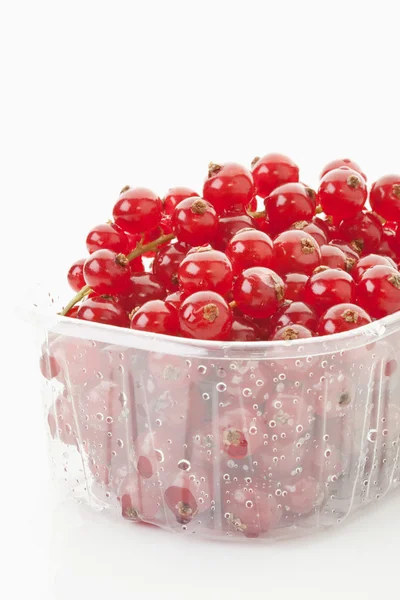 Redcurrant in plastic container — Stock Photo, Image