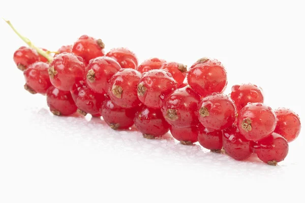 Demet redcurrants — Stok fotoğraf