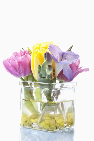 Buquê de flores em vaso, close-up — Fotografia de Stock