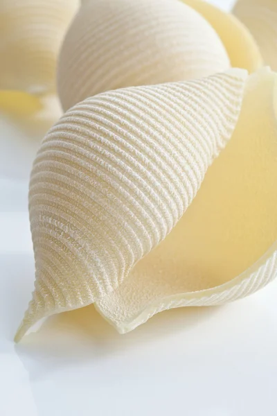 Close up of single piece of conchiglioni pasta — Stock Photo, Image