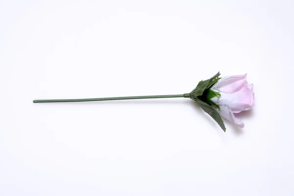 Rosa de plástico, vista elevada — Foto de Stock
