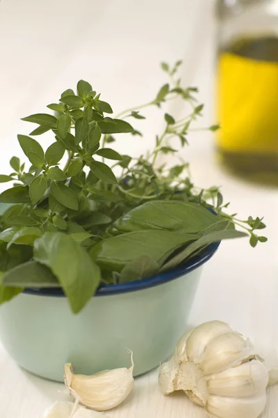 Herb-flavored oil and various herbs in bowl — Stock Photo, Image