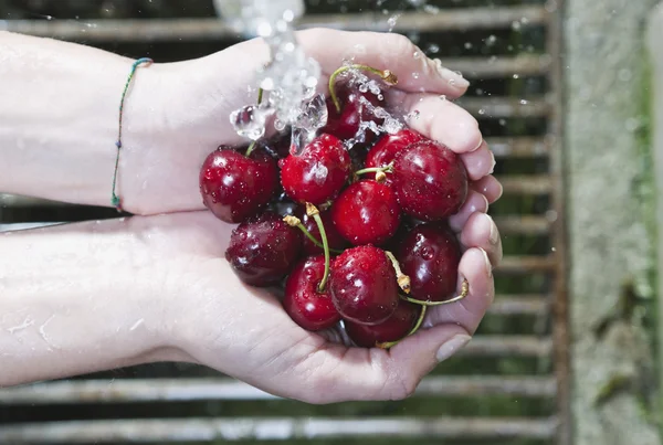 Italia, Toscana, Magliano, Primer plano de las cerezas lavadoras de manos de mujer bajo el agua —  Fotos de Stock