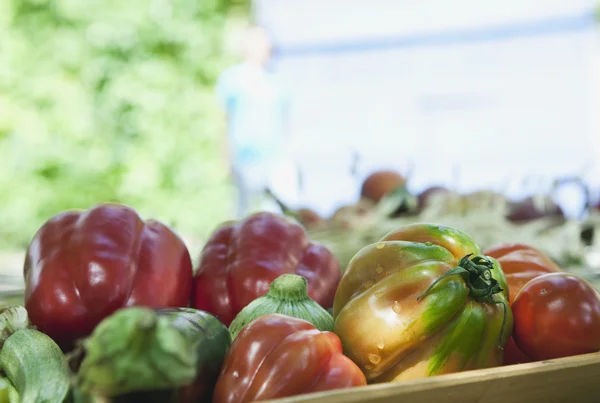 Italia, Toscana, Magliano, Primo piano della varietà di verdure — Foto Stock