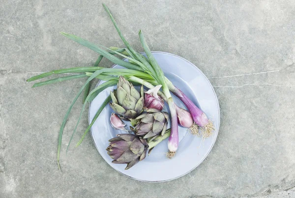Italy, Tuscany, Magliano, Artichokes and spring onions in plate — Φωτογραφία Αρχείου