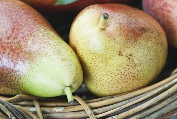 Italy, Tuscany, Magliano, Close up of pears in basket — стокове фото