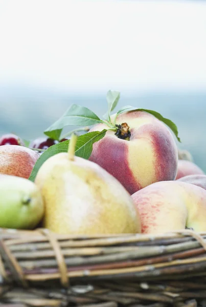 Италия, Тоскана, Мальяно, крупным планом персиковые груши и вишни в корзине — стоковое фото