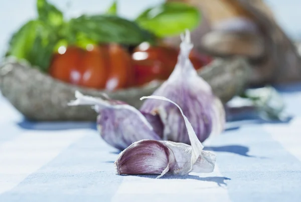 Italy, Tuscany, Magliano, Close up of bread, tomatoes and garlic on table — Zdjęcie stockowe