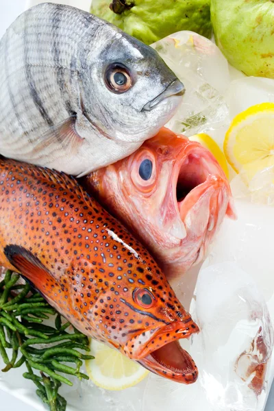 Pesci di cibo diversi — Foto Stock