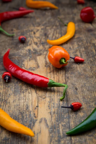 Verschiedene Chilischoten auf Holz — Stockfoto