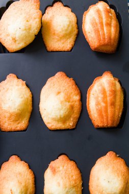 Ev Madeleine kurabiye yaptım.