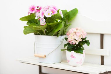 Hollyhock and hydrangea flowers on off-white shelf clipart