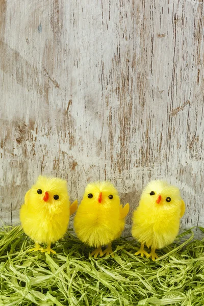 Pasen decoratie met chick beeldjes — Stockfoto