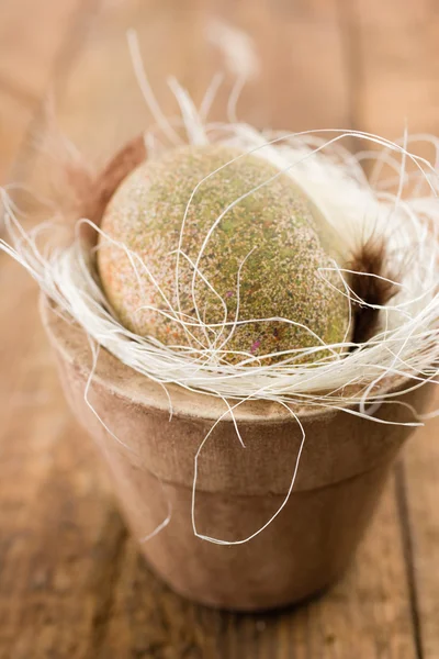 Easter egg with straw — Stock Photo, Image