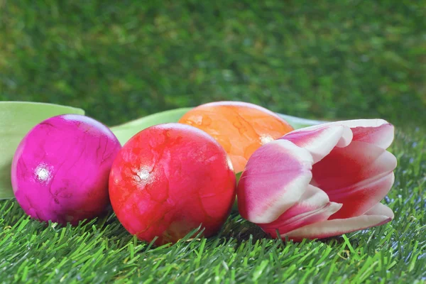 Huevos de Pascua y tulipán rosa — Foto de Stock