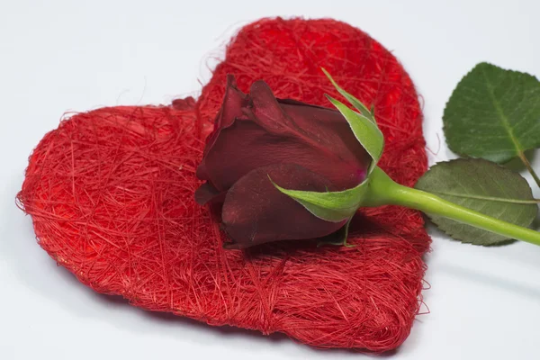 Rosa roja en el corazón — Foto de Stock