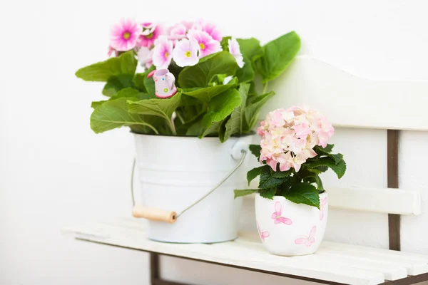 Hollyhock and hydrangea flowers on off-white shelf — Stock Photo, Image