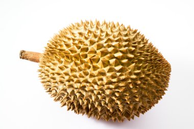 Durian tropik meyvesi