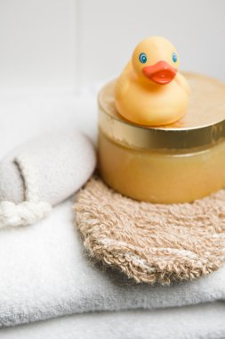 Lastik ördek, ponza taşı ve eldiven