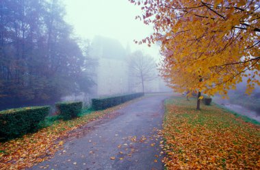 Early morning fog at Schloss Schelenburg  clipart