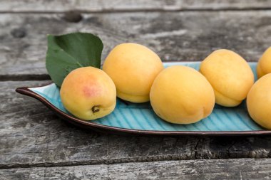 Kayısı yeşil yaprak