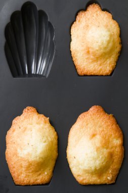 Homemade madeleine cookies clipart