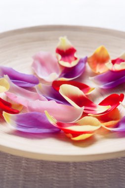 Renkli Lale yaprakları