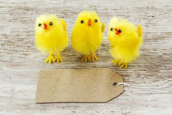 Decoración de Pascua con figuritas de polluelo —  Fotos de Stock