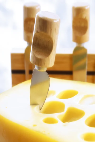Cheese with little knives — Stock Photo, Image