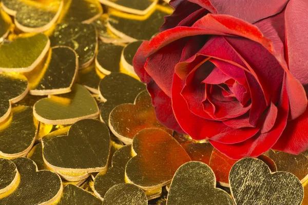 Rosa vermelha com corações dourados — Fotografia de Stock