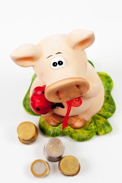 Piggy bank med euro - Stock-foto