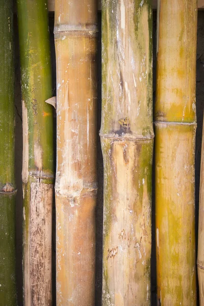 Parete di bambù da tronchi interi — Foto Stock