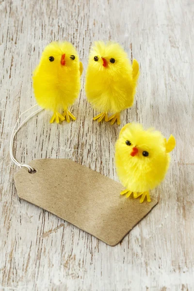 Pasen decoratie met chick beeldjes — Stockfoto