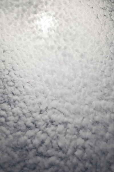 Hemel en wolken, cirrocumulus — Stockfoto