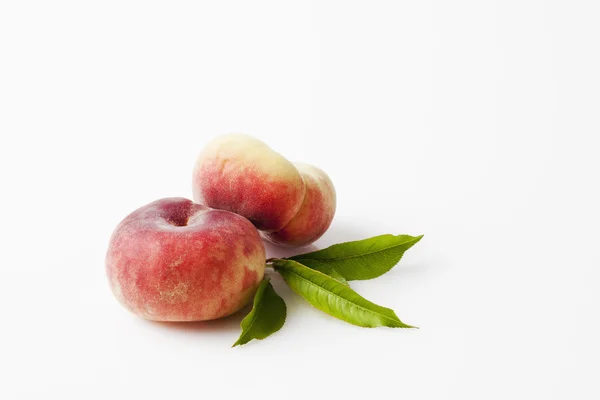 Дубові персики з зеленим листям — стокове фото