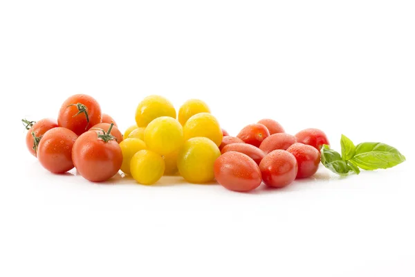 Farklı renkli domates — Stok fotoğraf