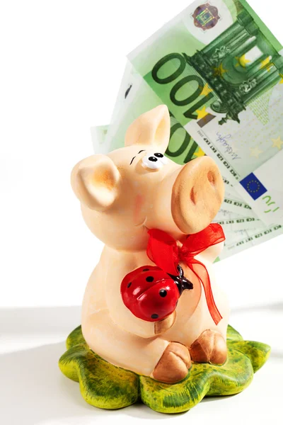 Банк свиней с евро — стоковое фото