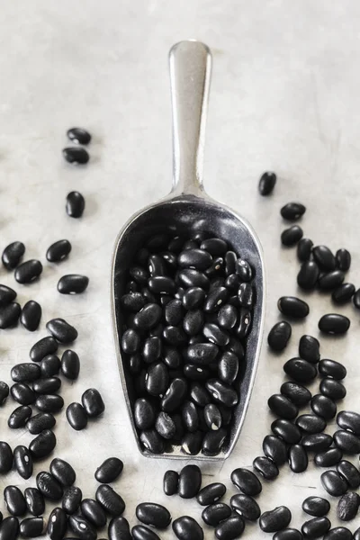 Montón de frijoles negros en cuchara de metal — Foto de Stock