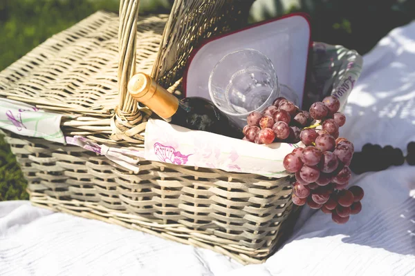 Piknikový koš, deka, sklenice na víno a vinné hrozny — Stock fotografie