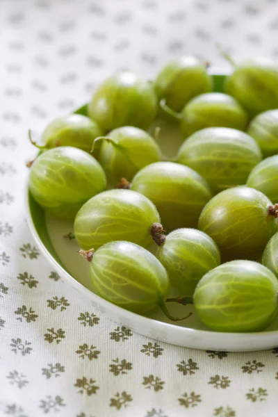 Auswahl an frischen Stachelbeeren — Stockfoto