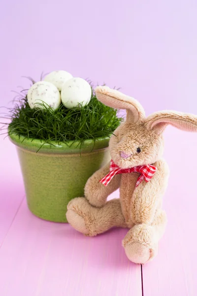 Coelho de brinquedo macio com ovos de Páscoa — Fotografia de Stock