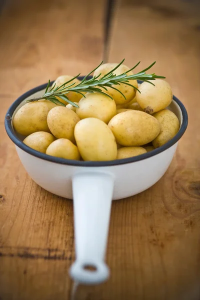 Potatoes with rosemary twig — Stock Photo, Image