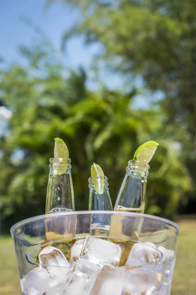 Bierflaschen mit Limettenscheiben — Stockfoto