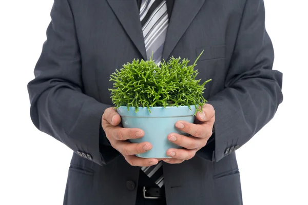 Empresário segurando vaso verde — Fotografia de Stock