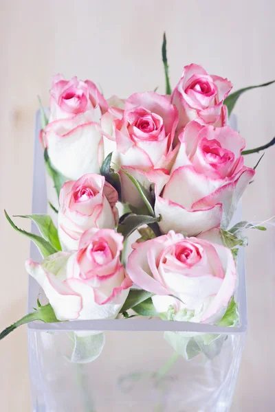 Bukiet świeżych róż — Zdjęcie stockowe