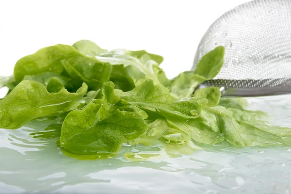 Green salad leaves — Stock Photo, Image