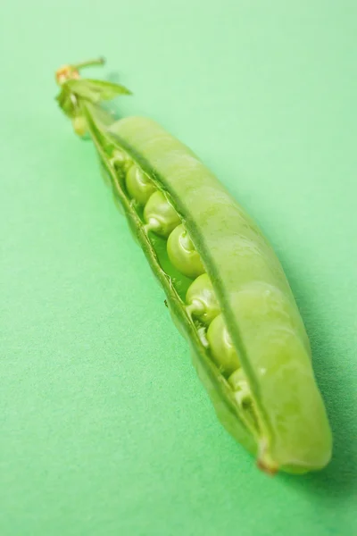 Peapod ligeiramente aberto — Fotografia de Stock