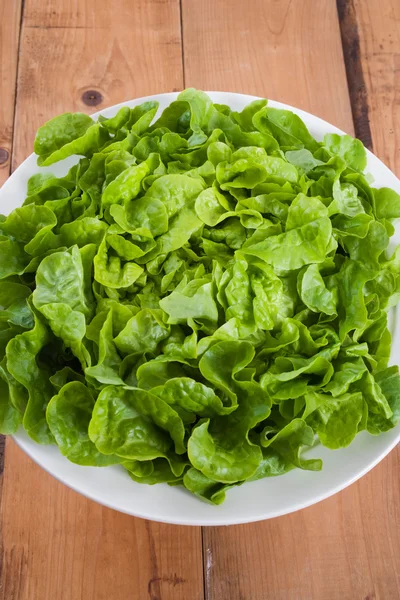 Fresh uncooked butterhead lettuce — Stock Photo, Image