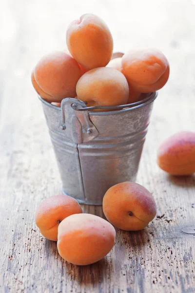 Fresh apricots in a metal bucket — Stock Photo, Image