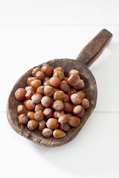 Hasselnötter på träsked — Stockfoto